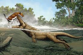 http://fernandod.com.br/images/textos/AMBULOCETUS NATANS 1.jpg