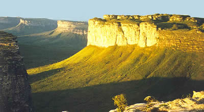 http://fernandod.com.br/images/textos/CHAPADA DIAMANTINA 1.jpg