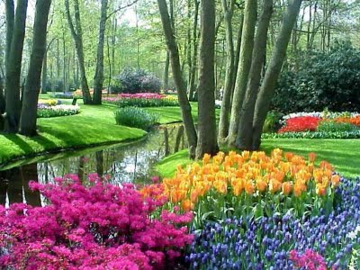 http://fernandod.com.br/images/textos/PRIMAVERA 2.jpg