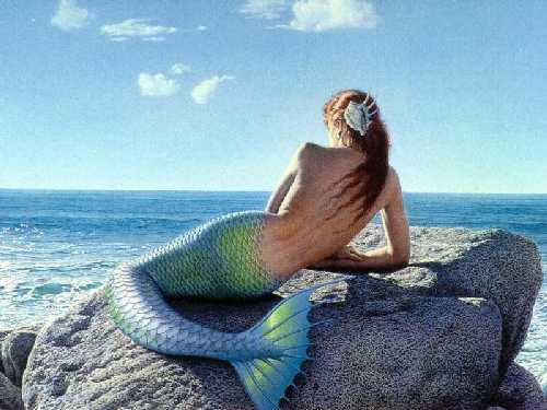 http://fernandod.com.br/images/textos/SEREIAS E ZUMBIS.jpg